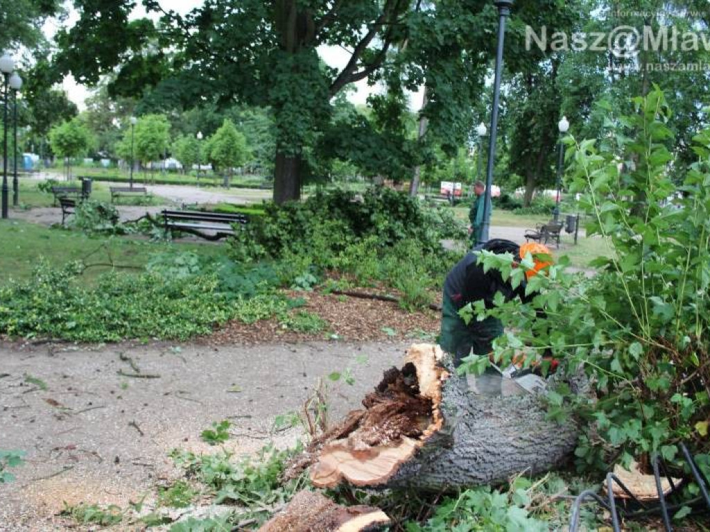 Armagedon w mławskim parku. Duże zniszczenia [WIDEO]