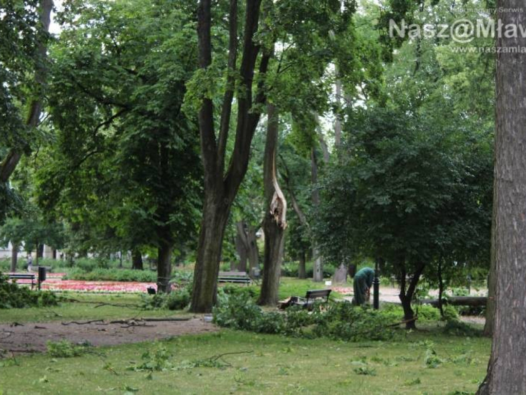 Armagedon w mławskim parku. Duże zniszczenia [WIDEO]