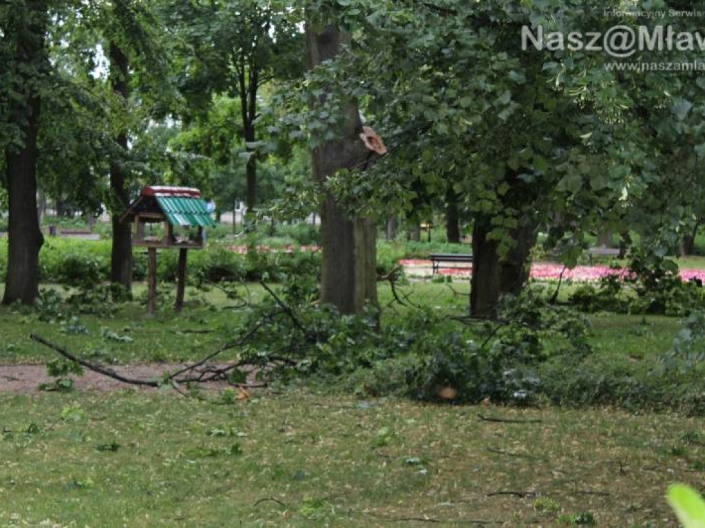 Armagedon w mławskim parku. Duże zniszczenia [WIDEO]