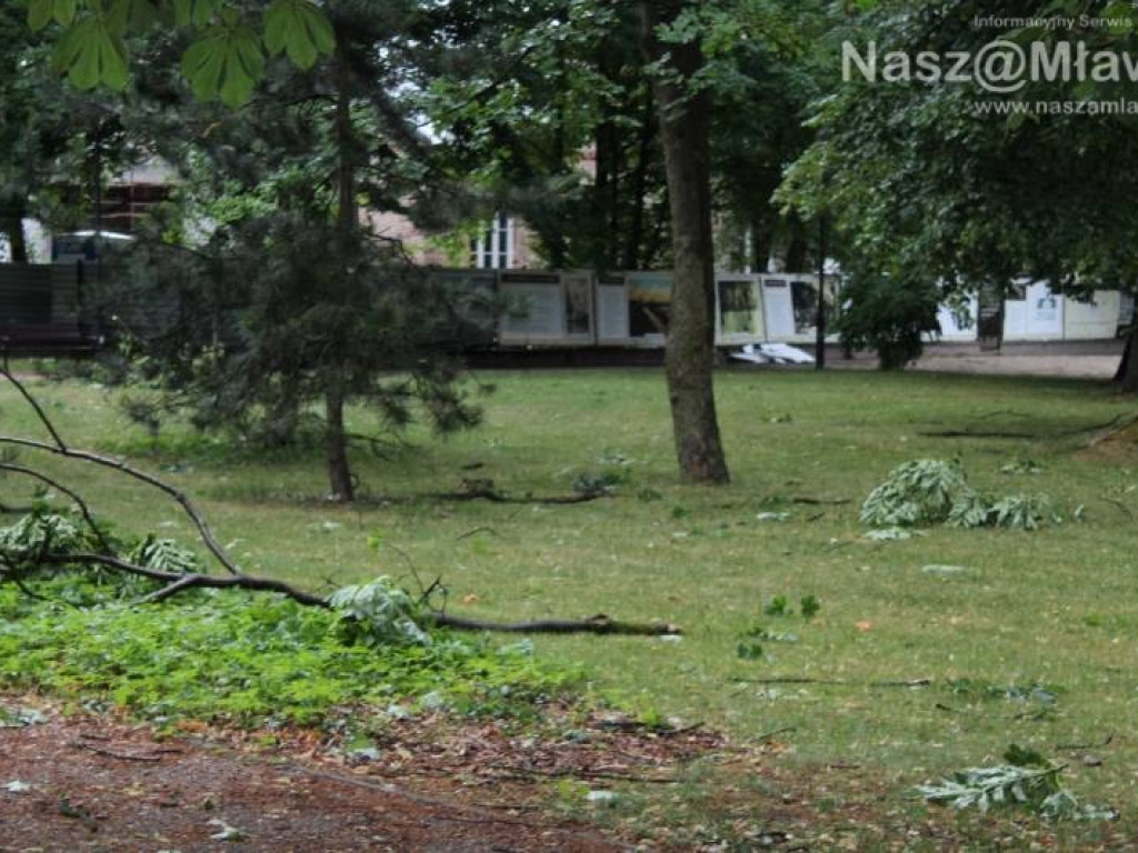 Armagedon w mławskim parku. Duże zniszczenia [WIDEO]