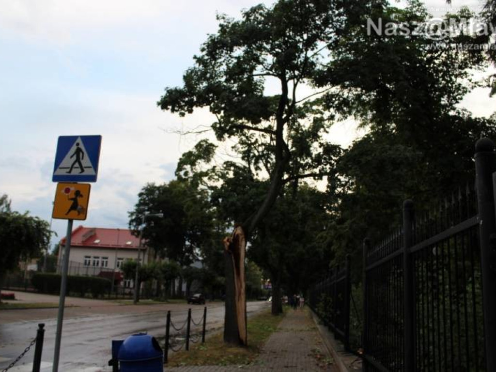 Armagedon w mławskim parku. Duże zniszczenia [WIDEO]
