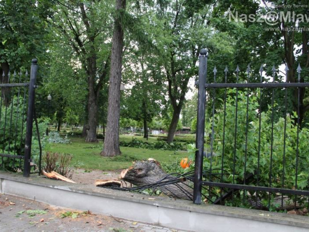 Armagedon w mławskim parku. Duże zniszczenia [WIDEO]