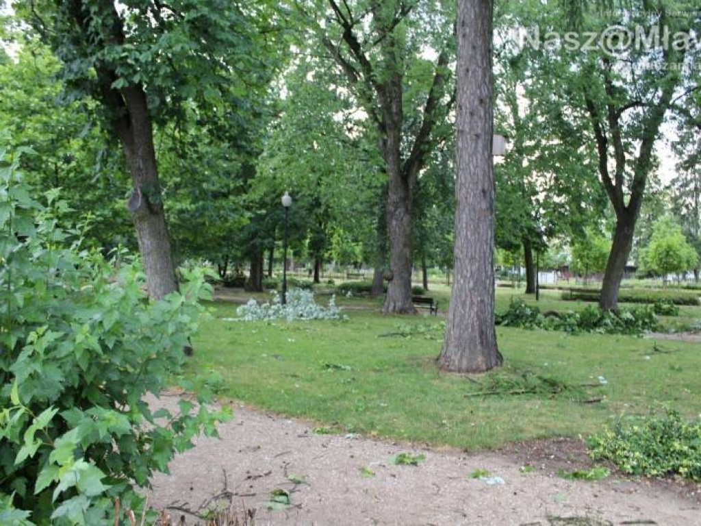 Armagedon w mławskim parku. Duże zniszczenia [WIDEO]