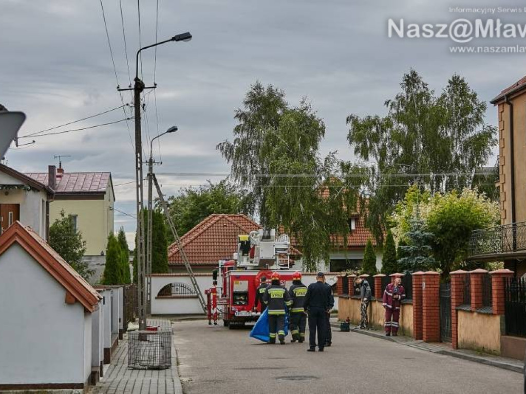 Niecodzienna akcja w Mławie. Szop uratowany!