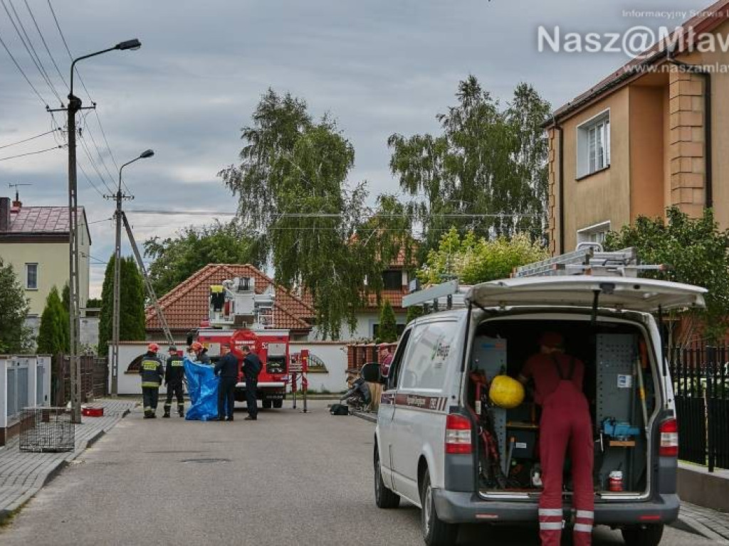 Niecodzienna akcja w Mławie. Szop uratowany!