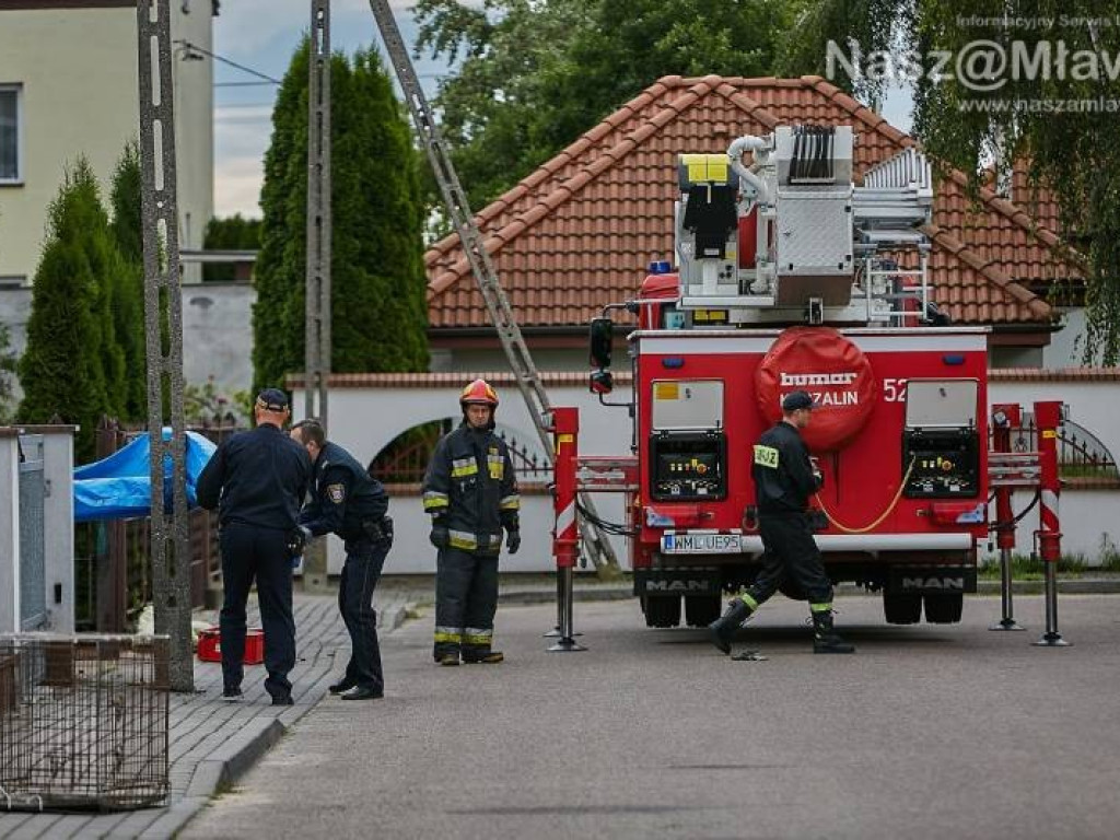 Niecodzienna akcja w Mławie. Szop uratowany!