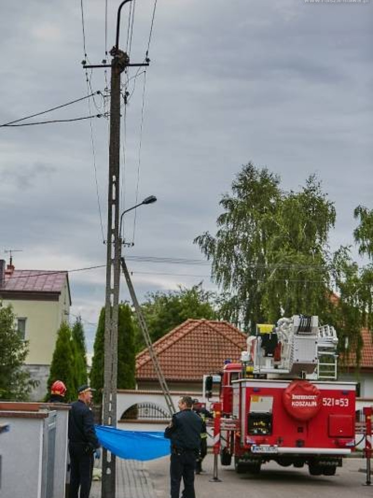 Niecodzienna akcja w Mławie. Szop uratowany!