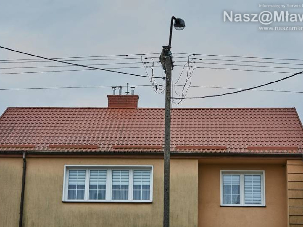 Niecodzienna akcja w Mławie. Szop uratowany!