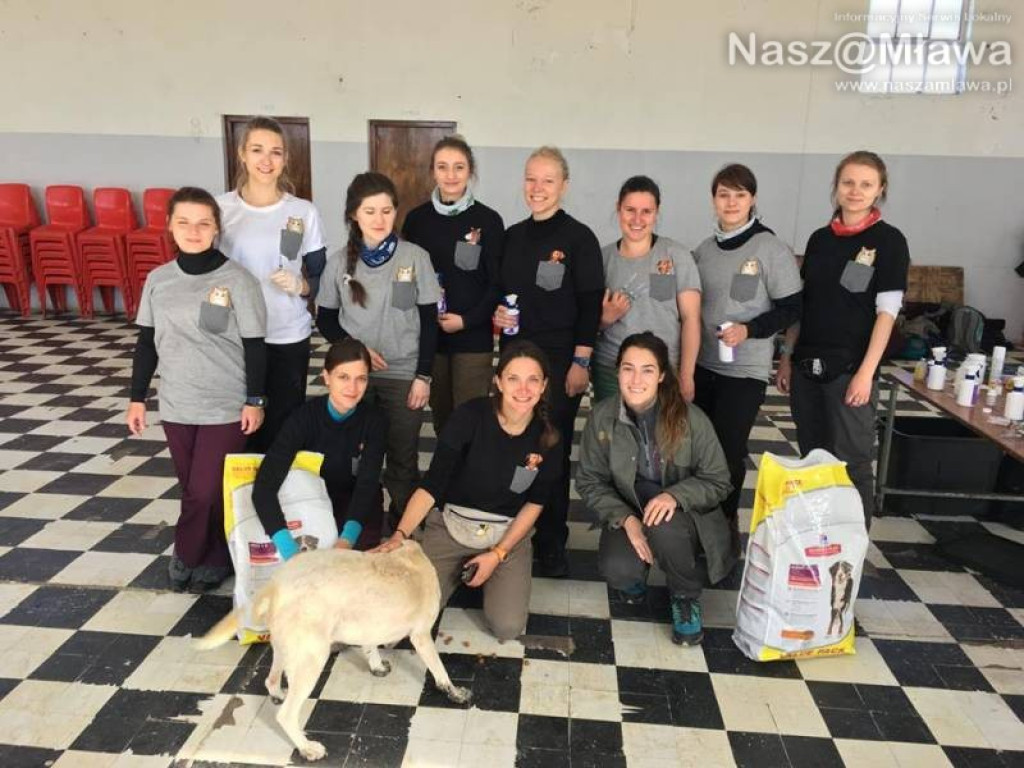 Pobrać krew nosorożcowi. Mławianka na praktykach w Afryce