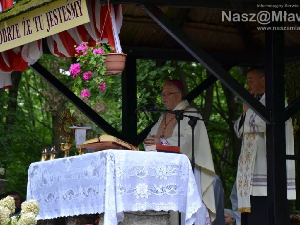 Bije tu cudowne źródełko. Tłumy w Drogiszce w gminie Strzegowo