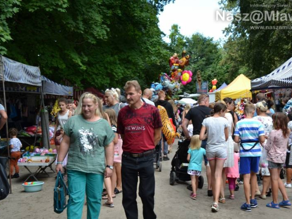 Bije tu cudowne źródełko. Tłumy w Drogiszce w gminie Strzegowo