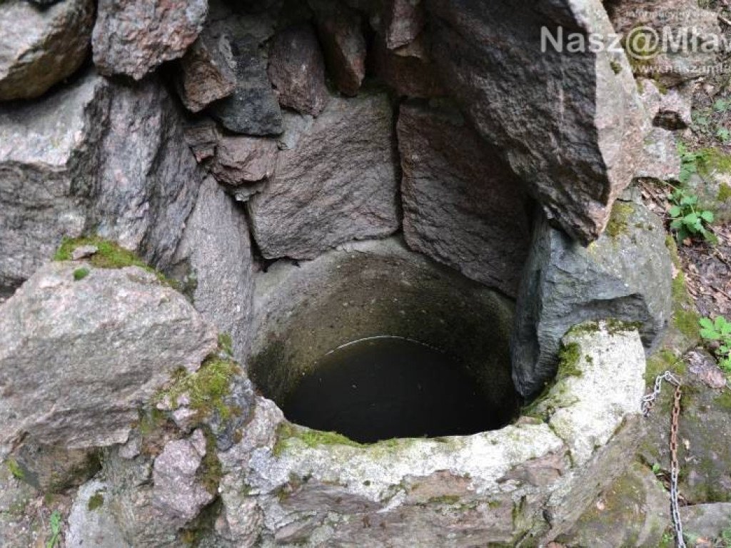 Bije tu cudowne źródełko. Tłumy w Drogiszce w gminie Strzegowo