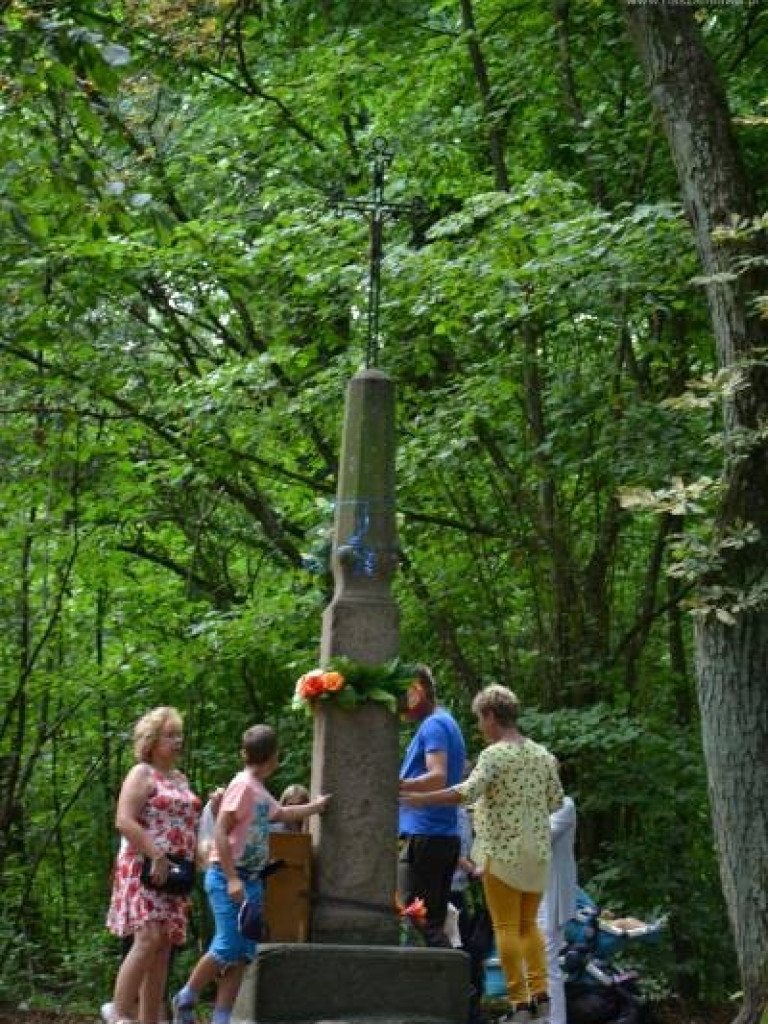 Bije tu cudowne źródełko. Tłumy w Drogiszce w gminie Strzegowo