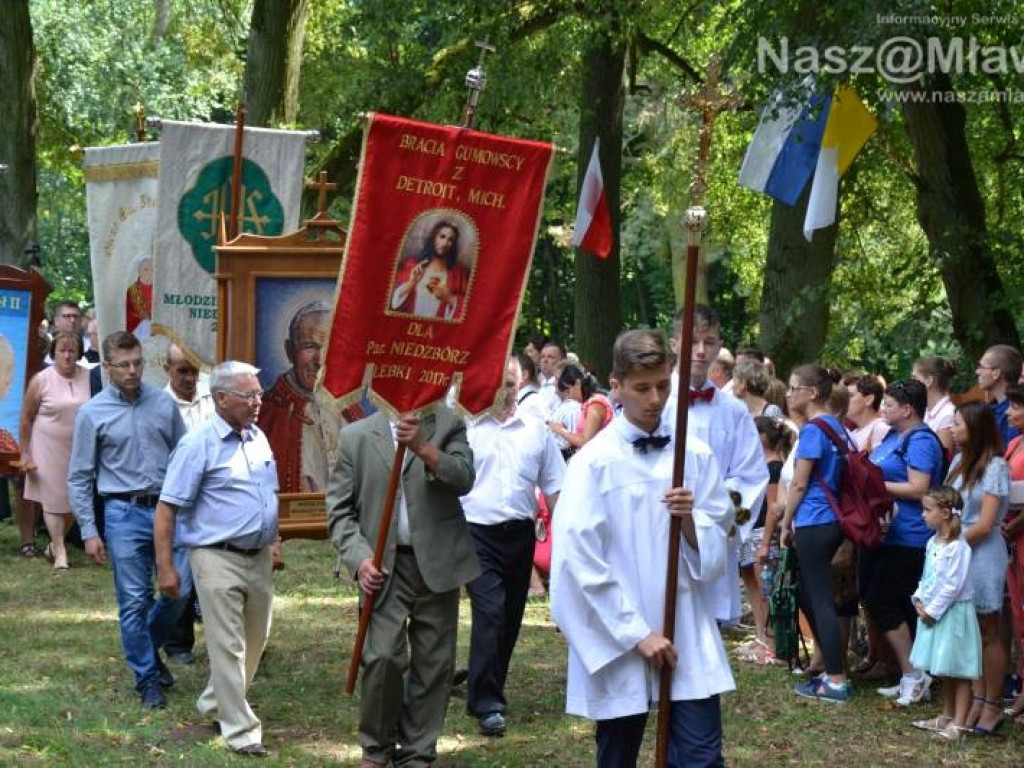 Bije tu cudowne źródełko. Tłumy w Drogiszce w gminie Strzegowo