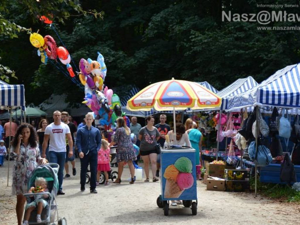 Bije tu cudowne źródełko. Tłumy w Drogiszce w gminie Strzegowo