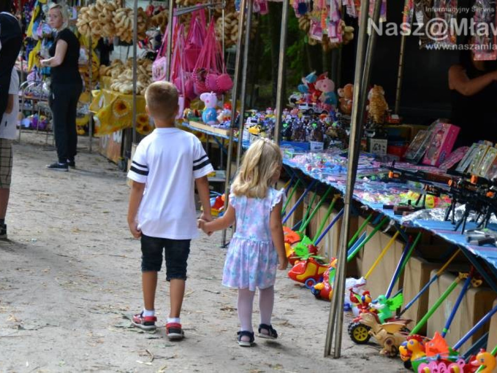 Bije tu cudowne źródełko. Tłumy w Drogiszce w gminie Strzegowo
