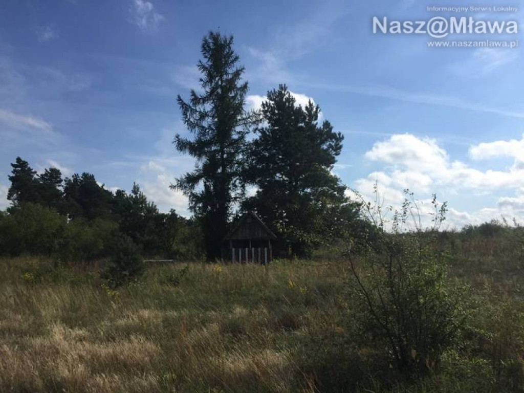 Bitwa Warszawska. Nasza opowieść