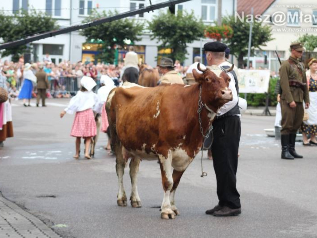 Mława kolejny raz przeżywała dramat sprzed 79 lat [WIDEO]
