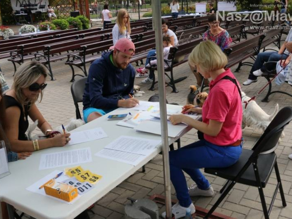 Małe i duże, rasowe i kundelki - wszystkie psy były piękne