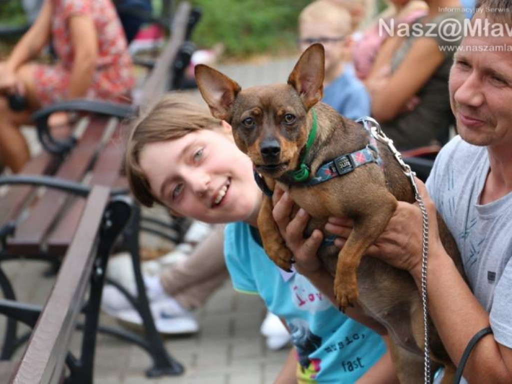 Małe i duże, rasowe i kundelki - wszystkie psy były piękne