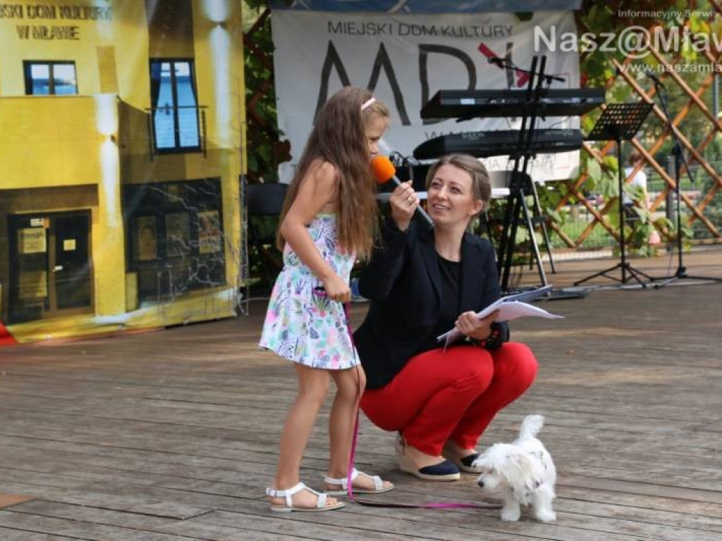 Małe i duże, rasowe i kundelki - wszystkie psy były piękne