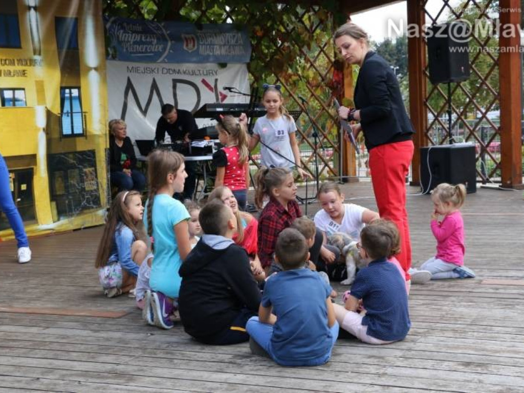 Małe i duże, rasowe i kundelki - wszystkie psy były piękne