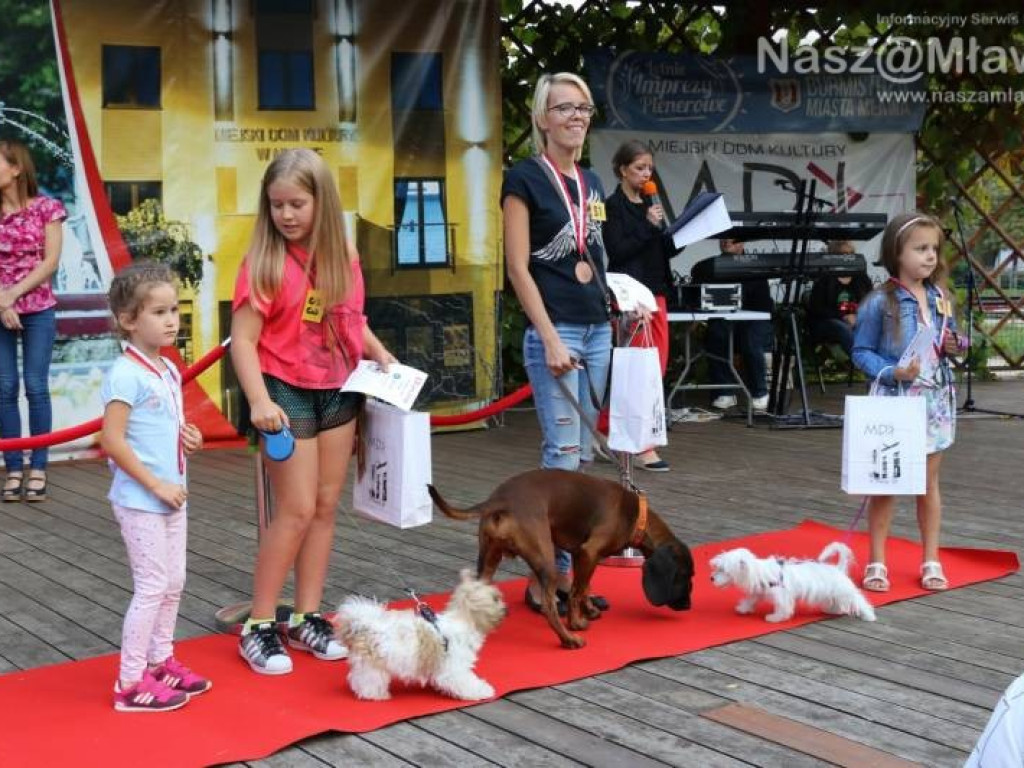 Małe i duże, rasowe i kundelki - wszystkie psy były piękne