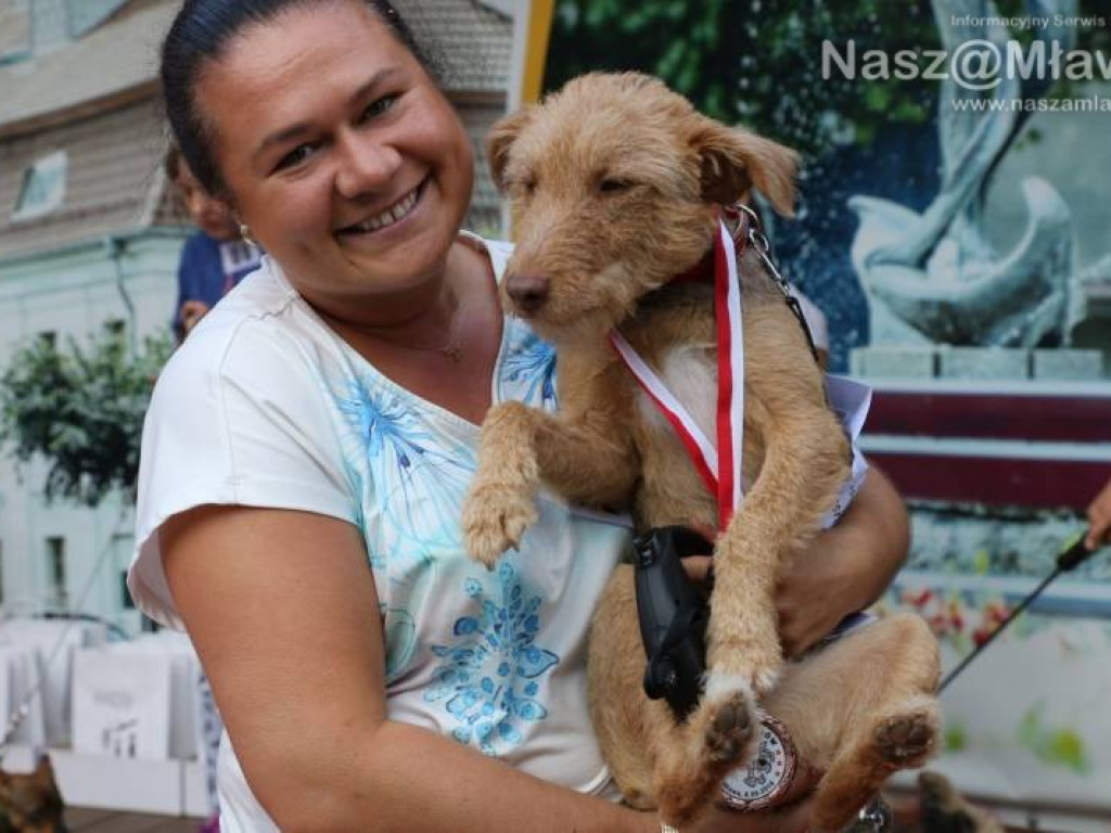 Małe i duże, rasowe i kundelki - wszystkie psy były piękne