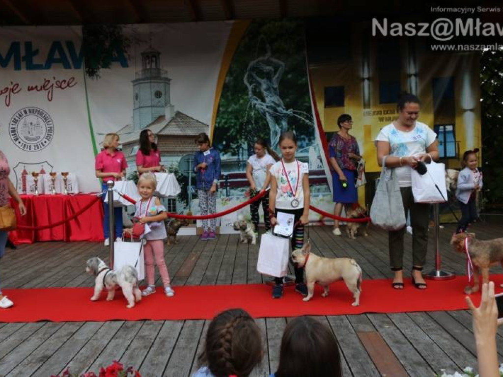 Małe i duże, rasowe i kundelki - wszystkie psy były piękne