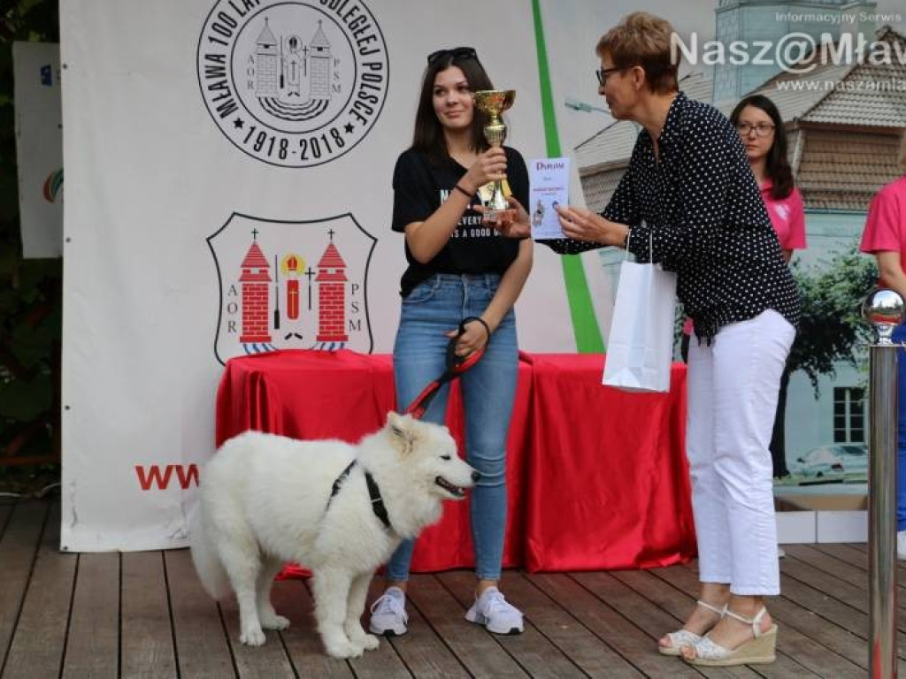 Małe i duże, rasowe i kundelki - wszystkie psy były piękne