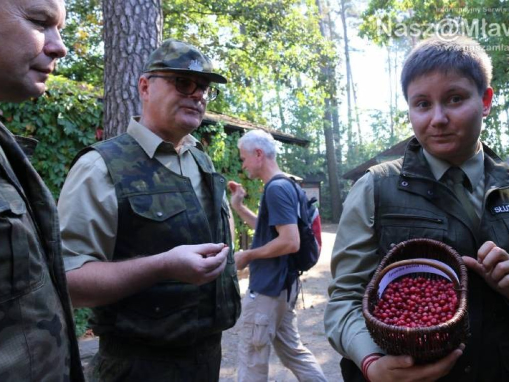Góry śmieci zebrane w mławskim lesie