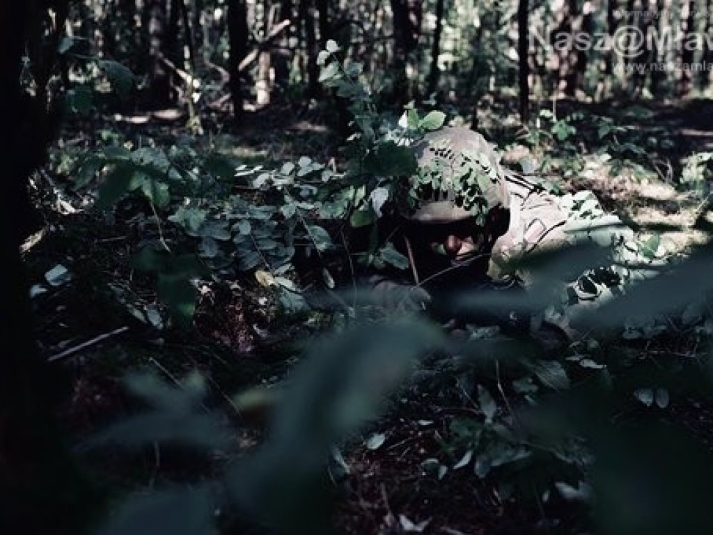 Zobacz, jak szkolą się Terytorialsi