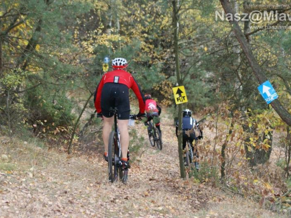 Epilog dla Grędzińskigo. Tadrzak drugi w Fit