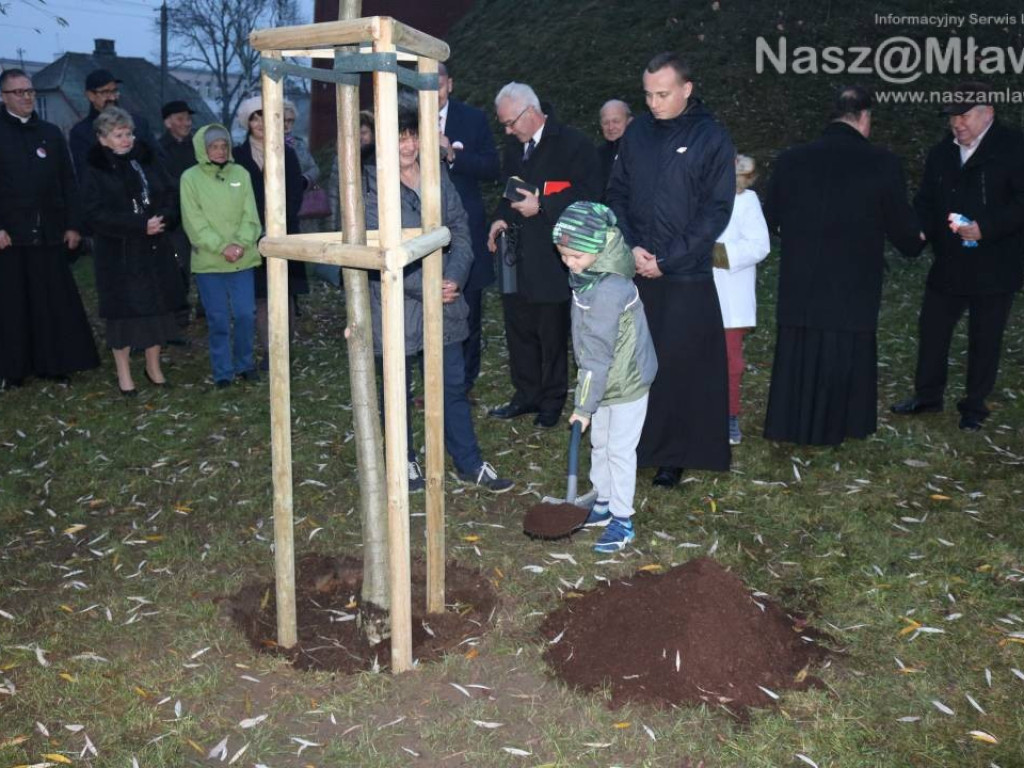Żywy pomnik na Wólce. Przy kopcu posadzono dąb