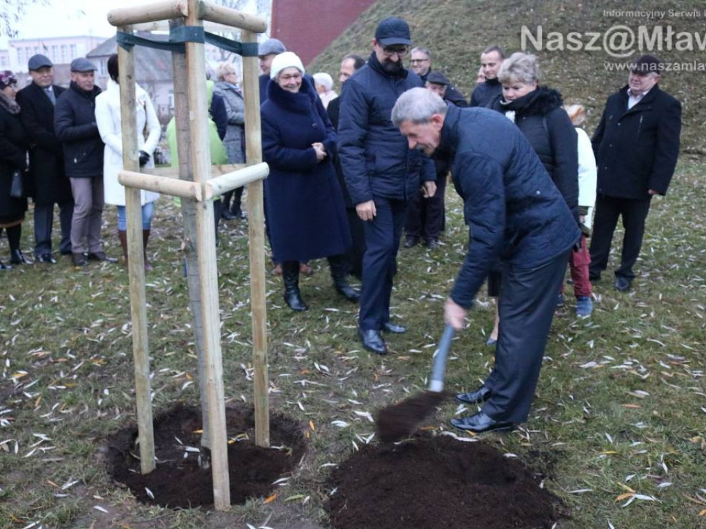 Żywy pomnik na Wólce. Przy kopcu posadzono dąb