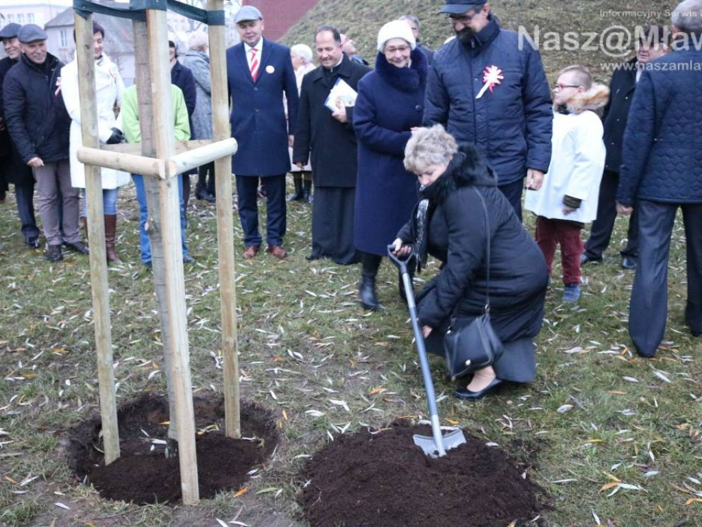 Żywy pomnik na Wólce. Przy kopcu posadzono dąb