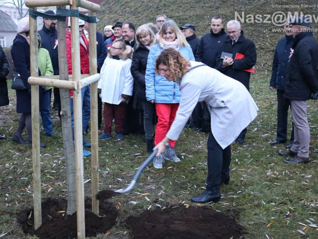 Żywy pomnik na Wólce. Przy kopcu posadzono dąb