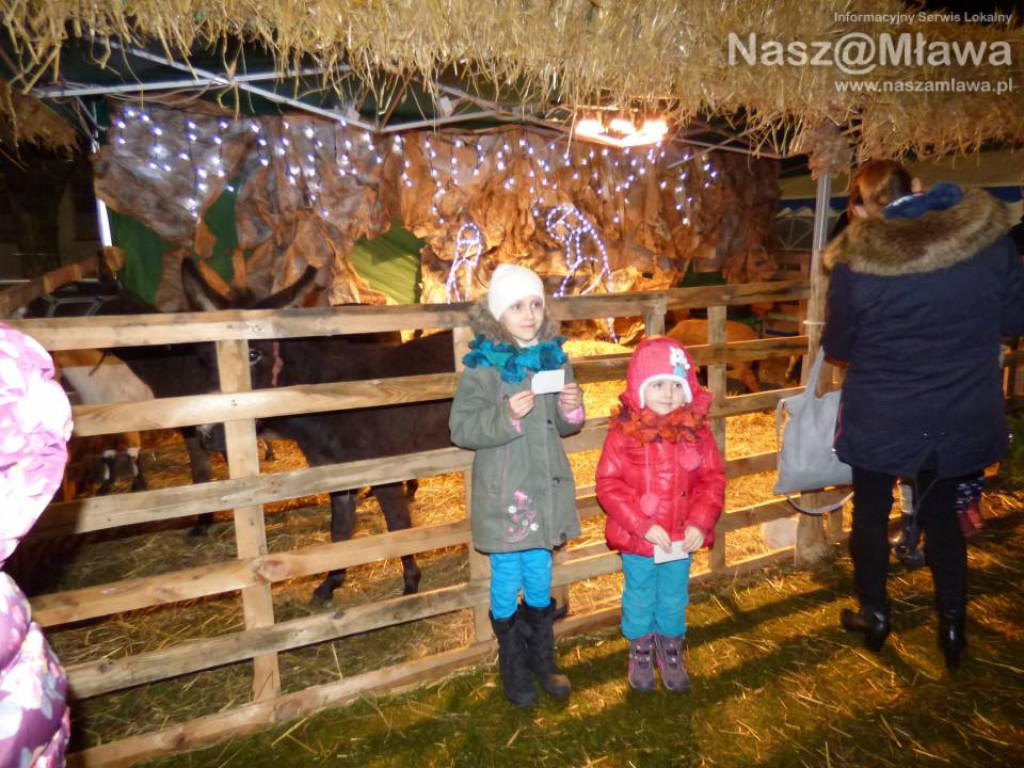 Miejska Wigilia. Duże zainteresowanie wzbudzała stajenka z żywymi zwierzętami