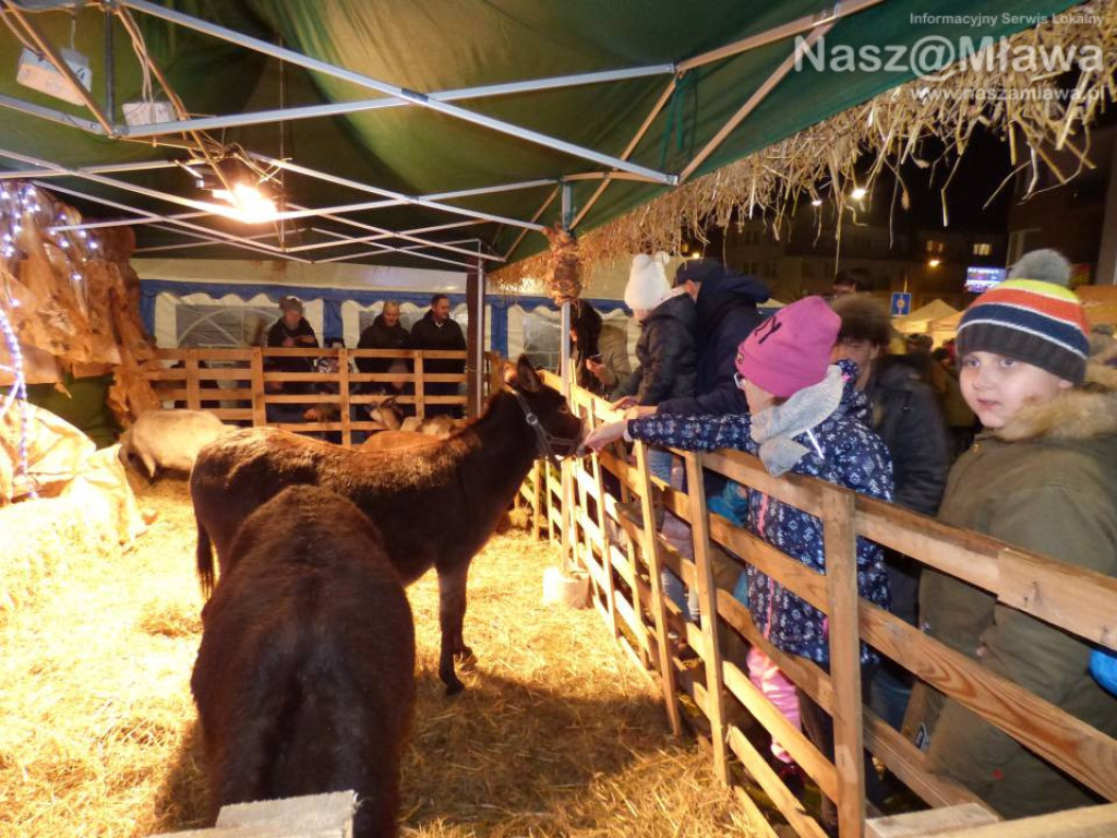 Miejska Wigilia. Duże zainteresowanie wzbudzała stajenka z żywymi zwierzętami
