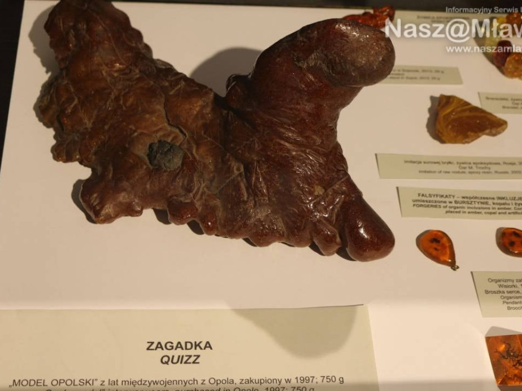 Piękne bursztyny w mławskim muzeum