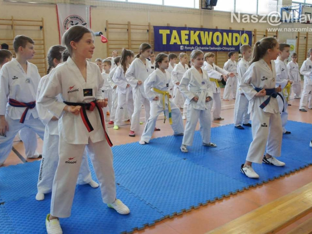 Zawody taekwondo w Mławie. Udział wzięła setka sportowców