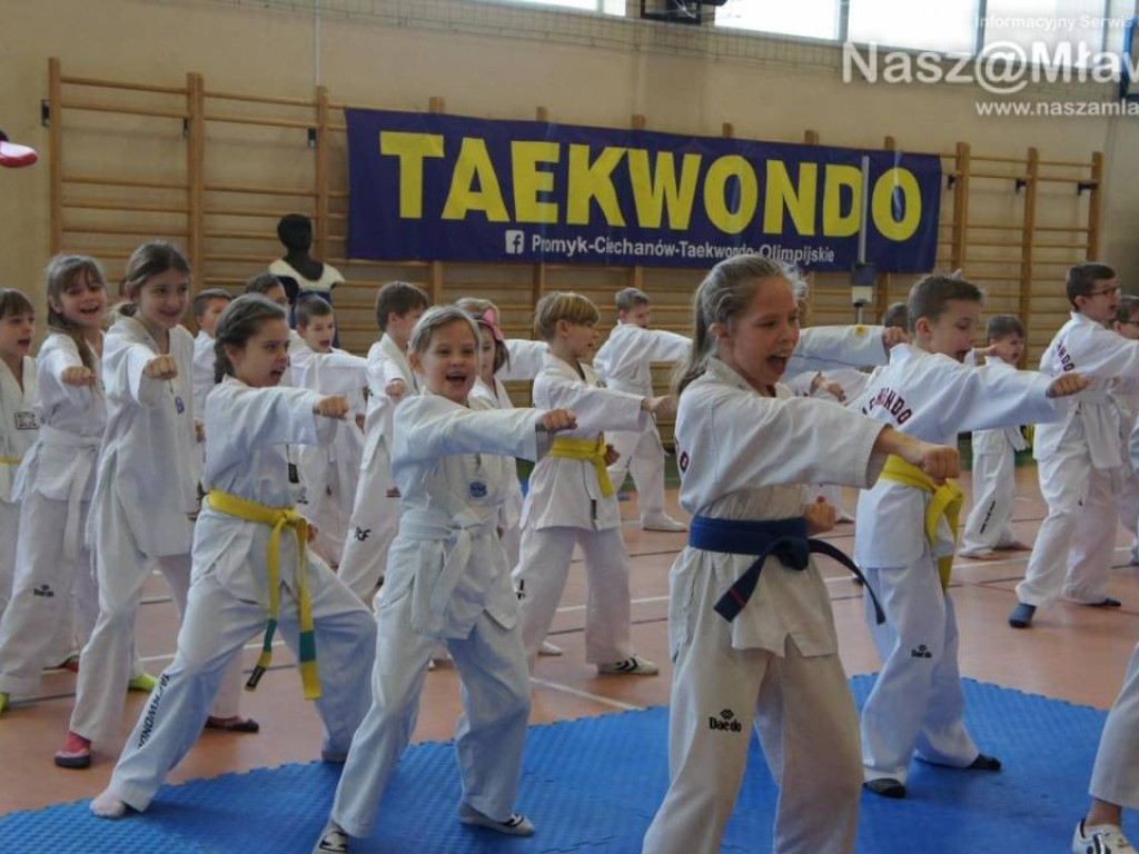 Zawody taekwondo w Mławie. Udział wzięła setka sportowców