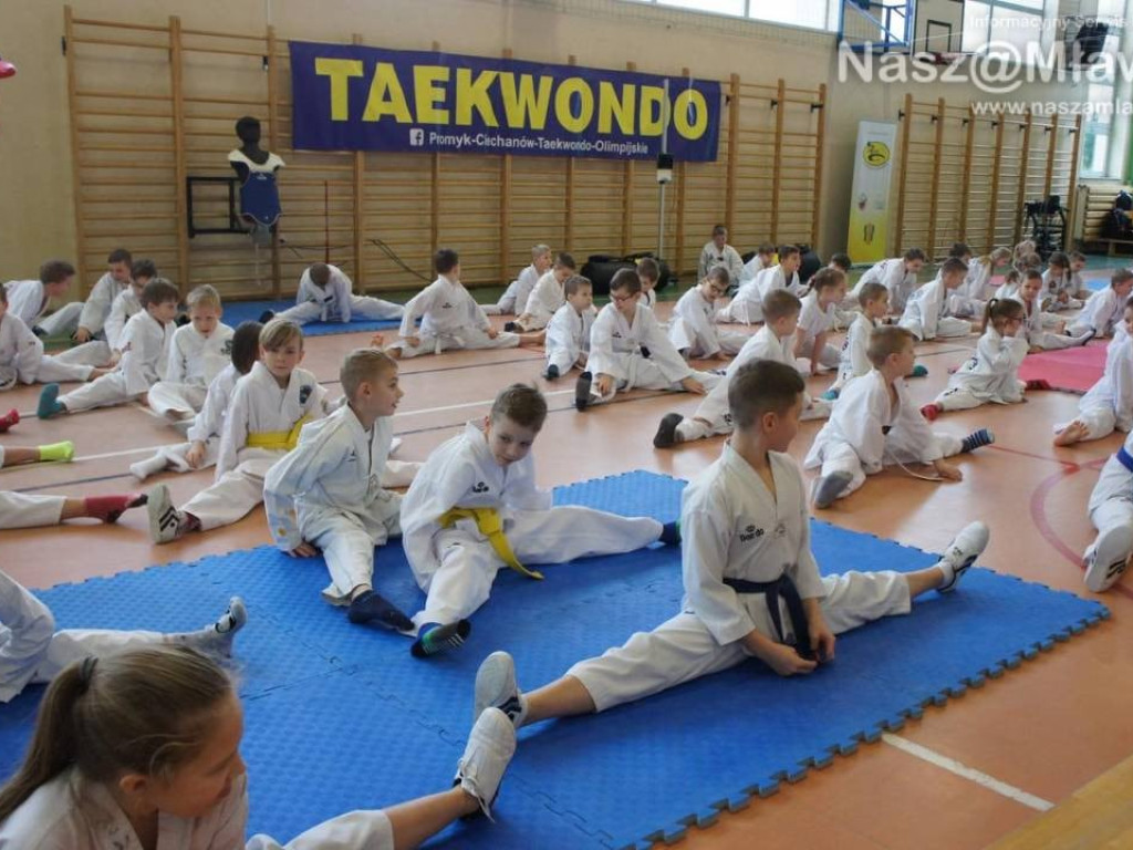 Zawody taekwondo w Mławie. Udział wzięła setka sportowców
