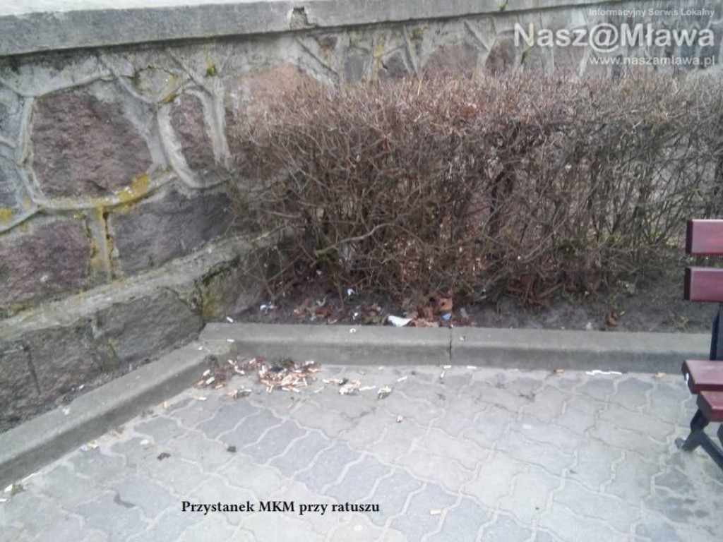 Pety i inne odpadki. Zaśmiecają nawet centrum Mławy