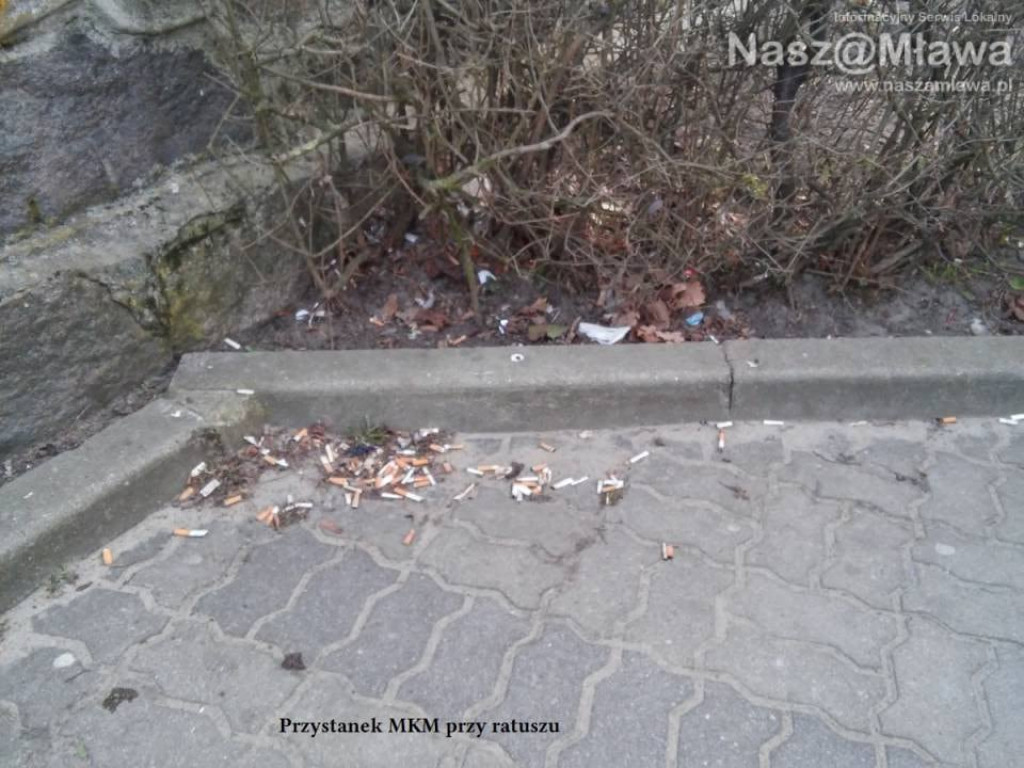 Pety i inne odpadki. Zaśmiecają nawet centrum Mławy