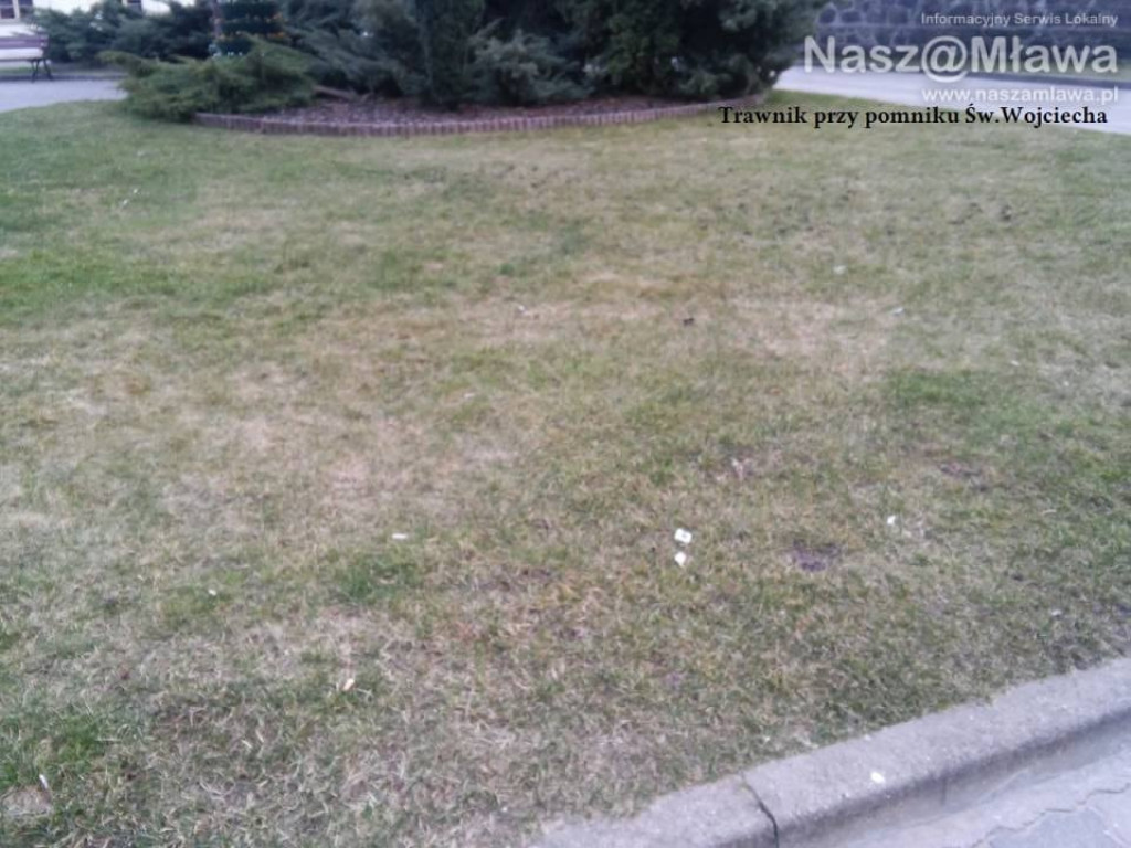 Pety i inne odpadki. Zaśmiecają nawet centrum Mławy