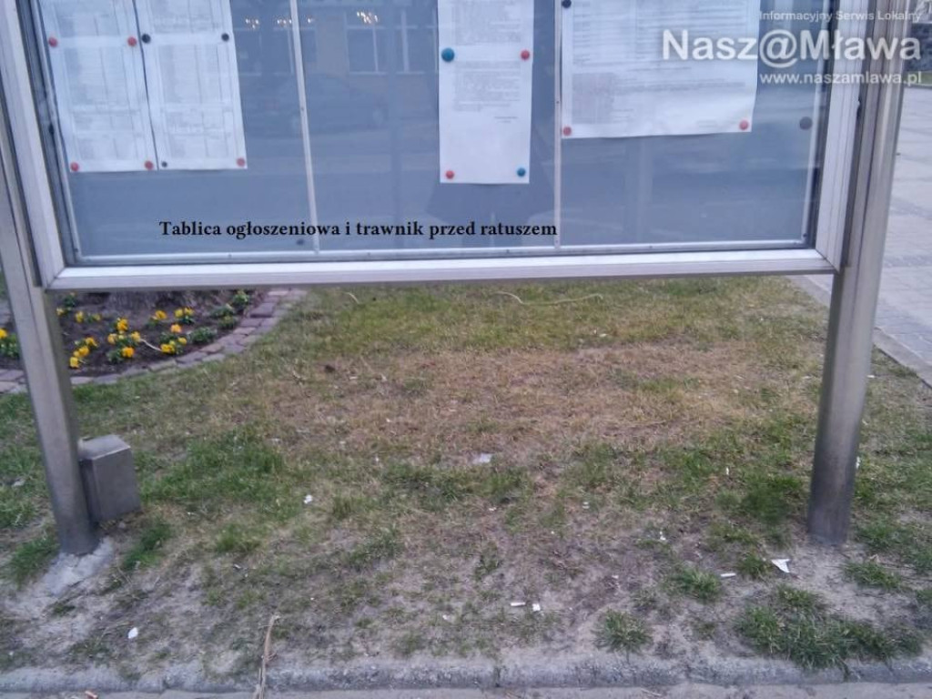 Pety i inne odpadki. Zaśmiecają nawet centrum Mławy