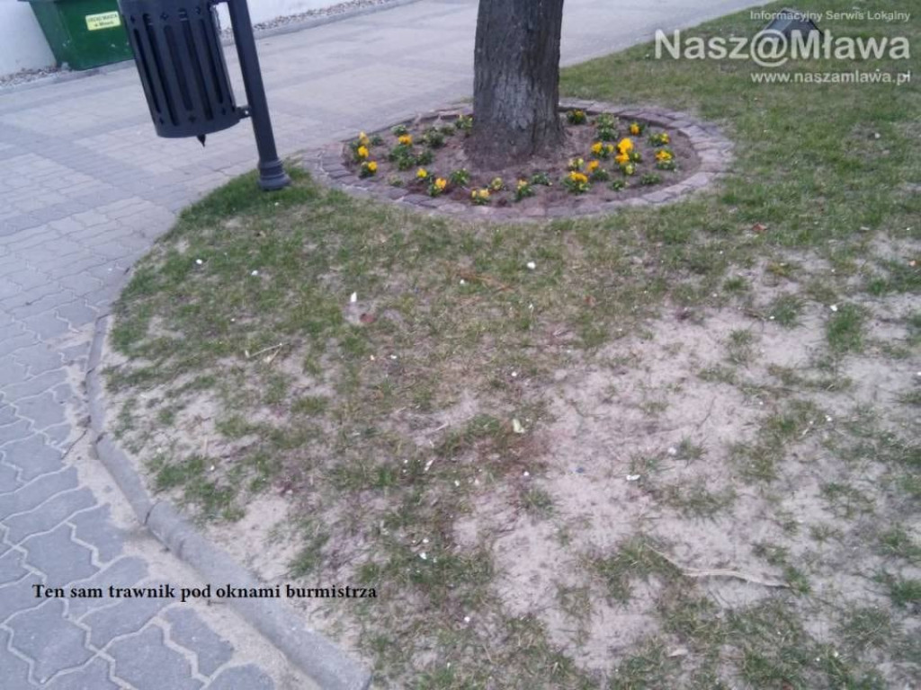 Pety i inne odpadki. Zaśmiecają nawet centrum Mławy