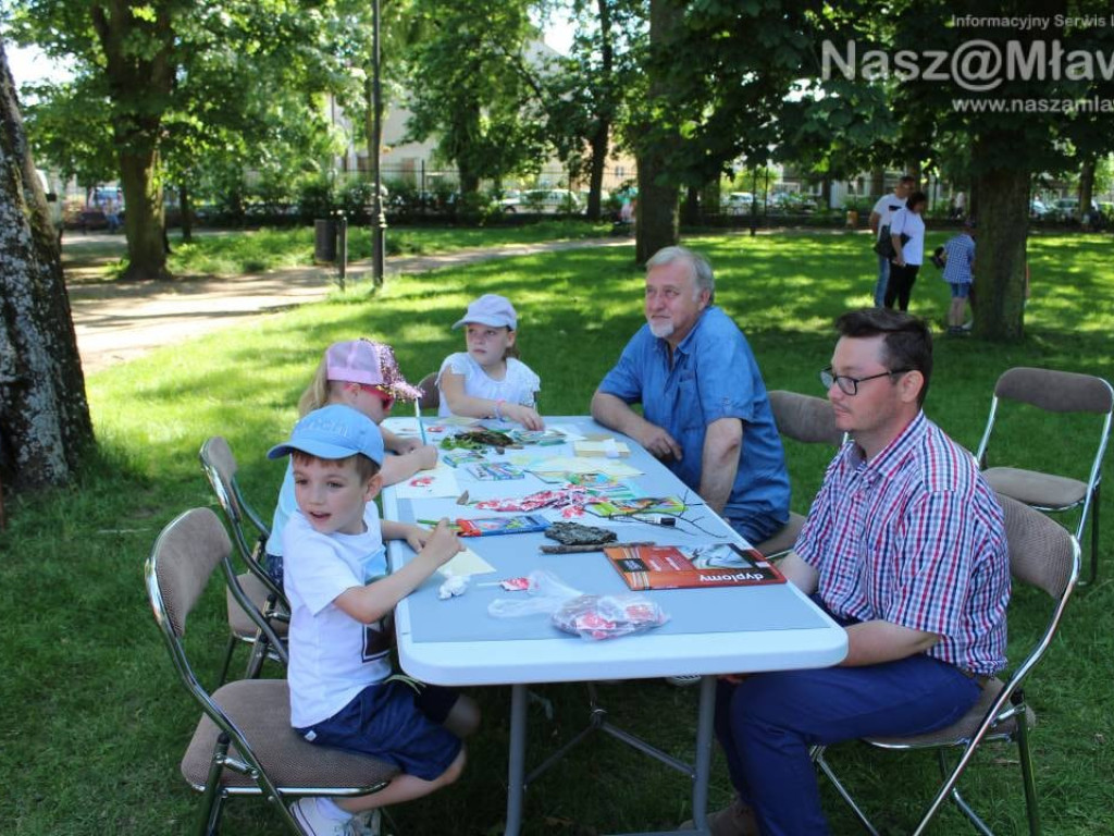 W niedzielę mławski park przeżywał oblężenie