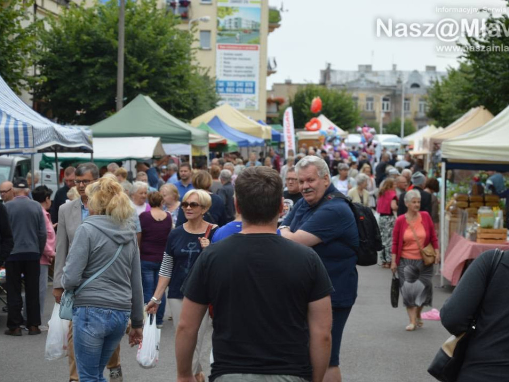 Jarmark Wojciechowy i Zlot Samochodów Tuningowanych